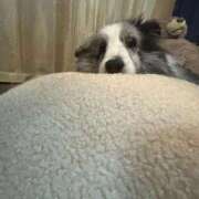 ヒメ日記 2025/12/16 14:12 投稿 あさひ SOAPLAND LOVE FACTORY