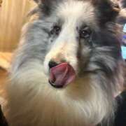 ヒメ日記 2025/12/16 19:22 投稿 あさひ SOAPLAND LOVE FACTORY