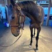 あさひ 今日も4階(´._.｀) SOAPLAND LOVE FACTORY