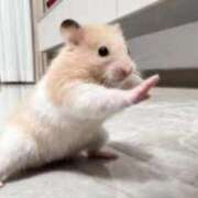 ヒメ日記 2025/12/20 17:52 投稿 あさひ SOAPLAND LOVE FACTORY