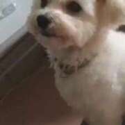 ヒメ日記 2025/12/21 03:21 投稿 あさひ SOAPLAND LOVE FACTORY