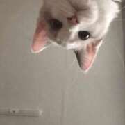 ヒメ日記 2025/12/21 08:42 投稿 あさひ SOAPLAND LOVE FACTORY