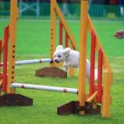 ヒメ日記 2025/12/22 02:01 投稿 あさひ SOAPLAND LOVE FACTORY