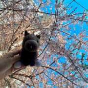 ヒメ日記 2025/12/22 02:52 投稿 あさひ SOAPLAND LOVE FACTORY