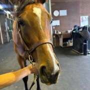 ヒメ日記 2025/12/23 07:50 投稿 あさひ SOAPLAND LOVE FACTORY