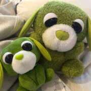 ヒメ日記 2025/12/23 08:42 投稿 あさひ SOAPLAND LOVE FACTORY