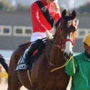 ヒメ日記 2025/12/23 13:15 投稿 あさひ SOAPLAND LOVE FACTORY