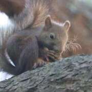 ヒメ日記 2025/12/26 02:42 投稿 あさひ SOAPLAND LOVE FACTORY