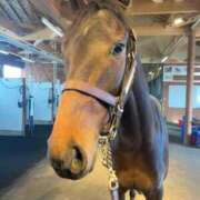 ヒメ日記 2025/12/26 07:12 投稿 あさひ SOAPLAND LOVE FACTORY