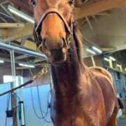 ヒメ日記 2025/12/29 23:33 投稿 あさひ SOAPLAND LOVE FACTORY