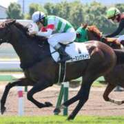 ヒメ日記 2025/12/30 07:54 投稿 あさひ SOAPLAND LOVE FACTORY