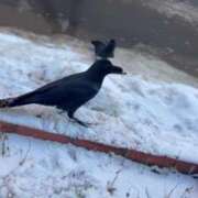 ヒメ日記 2025/12/31 04:10 投稿 あさひ SOAPLAND LOVE FACTORY