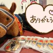 ヒメ日記 2025/12/31 05:17 投稿 あさひ SOAPLAND LOVE FACTORY