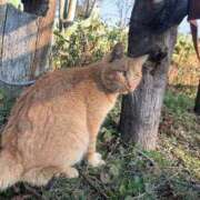 ヒメ日記 2025/12/31 05:42 投稿 あさひ SOAPLAND LOVE FACTORY