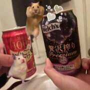 ヒメ日記 2026/01/01 05:33 投稿 あさひ SOAPLAND LOVE FACTORY