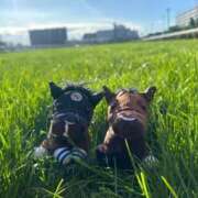 ヒメ日記 2026/01/02 04:02 投稿 あさひ SOAPLAND LOVE FACTORY