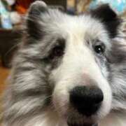 ヒメ日記 2026/01/03 13:12 投稿 あさひ SOAPLAND LOVE FACTORY