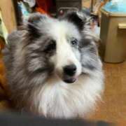 ヒメ日記 2026/01/03 13:24 投稿 あさひ SOAPLAND LOVE FACTORY