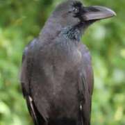 ヒメ日記 2026/01/04 06:17 投稿 あさひ SOAPLAND LOVE FACTORY