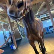 ヒメ日記 2026/01/04 07:32 投稿 あさひ SOAPLAND LOVE FACTORY