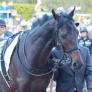 ヒメ日記 2026/01/04 17:52 投稿 あさひ SOAPLAND LOVE FACTORY