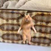 ヒメ日記 2026/01/05 09:12 投稿 あさひ SOAPLAND LOVE FACTORY