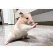 ヒメ日記 2026/01/06 00:06 投稿 あさひ SOAPLAND LOVE FACTORY