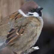 ヒメ日記 2026/01/06 08:32 投稿 あさひ SOAPLAND LOVE FACTORY