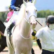 ヒメ日記 2026/01/07 03:42 投稿 あさひ SOAPLAND LOVE FACTORY