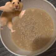 ヒメ日記 2026/01/07 06:12 投稿 あさひ SOAPLAND LOVE FACTORY