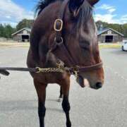 ヒメ日記 2026/01/07 17:32 投稿 あさひ SOAPLAND LOVE FACTORY