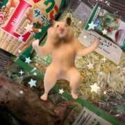 ヒメ日記 2026/01/08 01:52 投稿 あさひ SOAPLAND LOVE FACTORY