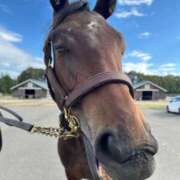 ヒメ日記 2026/01/08 06:52 投稿 あさひ SOAPLAND LOVE FACTORY