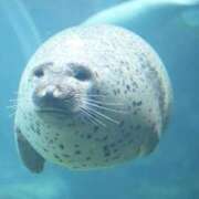 ヒメ日記 2026/01/11 00:22 投稿 あさひ SOAPLAND LOVE FACTORY