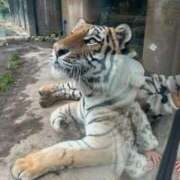 ヒメ日記 2026/01/11 00:25 投稿 あさひ SOAPLAND LOVE FACTORY