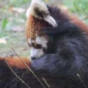 ヒメ日記 2026/01/11 00:32 投稿 あさひ SOAPLAND LOVE FACTORY