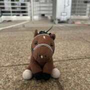 ヒメ日記 2026/01/12 03:22 投稿 あさひ SOAPLAND LOVE FACTORY