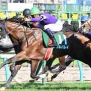 ヒメ日記 2026/01/13 08:32 投稿 あさひ SOAPLAND LOVE FACTORY