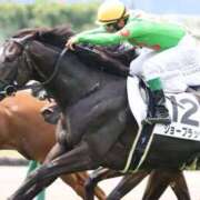 ヒメ日記 2026/01/13 17:52 投稿 あさひ SOAPLAND LOVE FACTORY