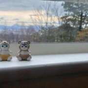 ヒメ日記 2026/01/14 17:42 投稿 あさひ SOAPLAND LOVE FACTORY