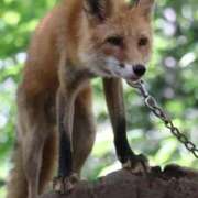 ヒメ日記 2026/01/15 10:52 投稿 あさひ SOAPLAND LOVE FACTORY