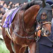 ヒメ日記 2026/01/15 11:47 投稿 あさひ SOAPLAND LOVE FACTORY