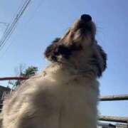 ヒメ日記 2026/01/15 13:13 投稿 あさひ SOAPLAND LOVE FACTORY