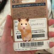 ヒメ日記 2026/01/15 13:52 投稿 あさひ SOAPLAND LOVE FACTORY