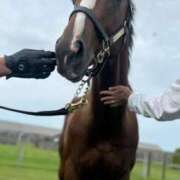 ヒメ日記 2026/01/15 15:42 投稿 あさひ SOAPLAND LOVE FACTORY