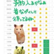 ヒメ日記 2026/01/16 06:50 投稿 あさひ SOAPLAND LOVE FACTORY