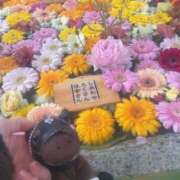 ヒメ日記 2026/01/16 07:35 投稿 あさひ SOAPLAND LOVE FACTORY