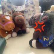 ヒメ日記 2026/01/16 19:39 投稿 あさひ SOAPLAND LOVE FACTORY