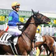 ヒメ日記 2026/01/17 01:29 投稿 あさひ SOAPLAND LOVE FACTORY