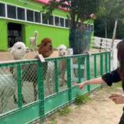 ヒメ日記 2026/01/17 07:56 投稿 あさひ SOAPLAND LOVE FACTORY